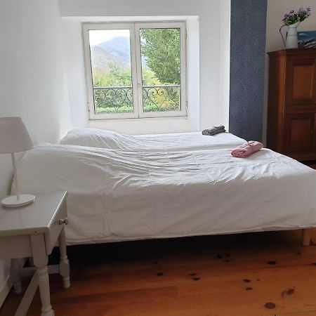 La Bergerie, Maison Spacieuse Avec Grand Jardin, Vue Sur Les Pyrenees Лурд Екстериор снимка